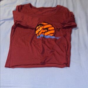 Hollister Maroon Graphic Tee